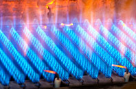 Hawddamor gas fired boilers